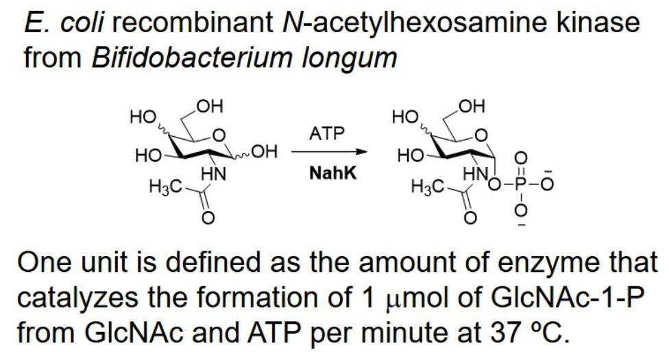 N-acetylhexosamine kinase; NahK